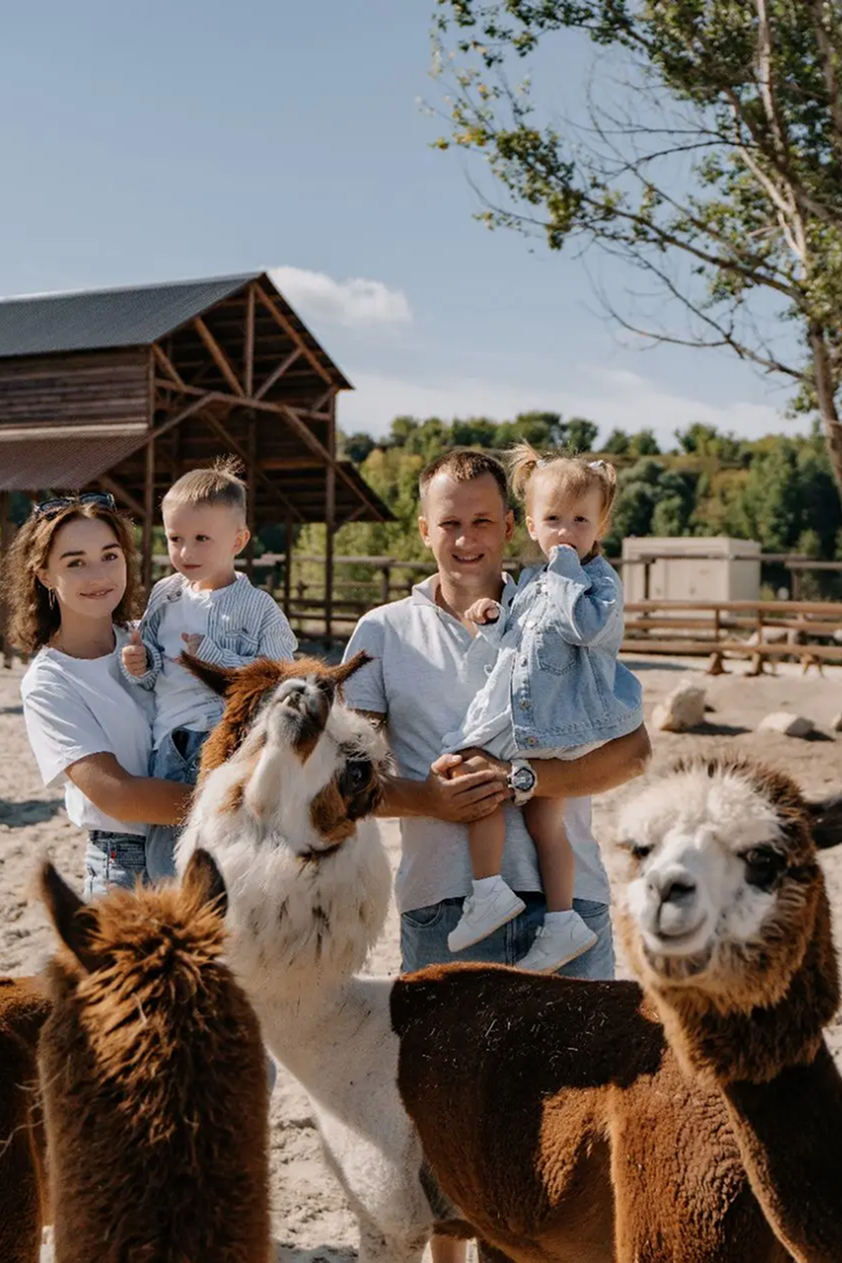 Альпака