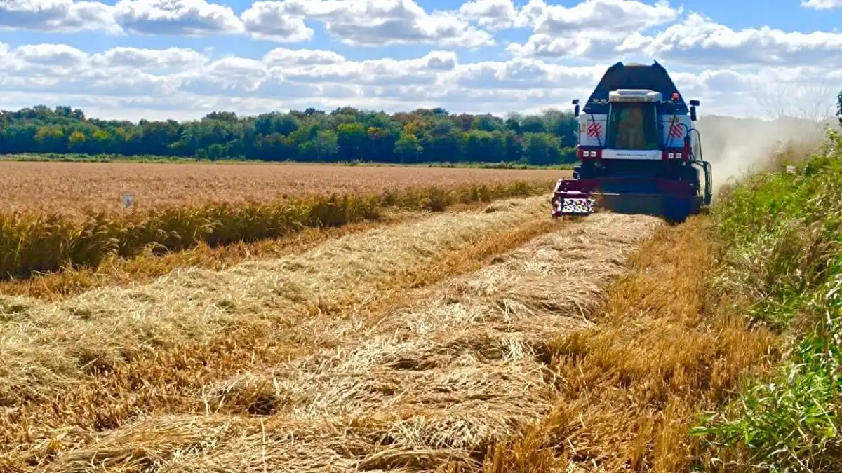 Фото:Госсорткомиссия