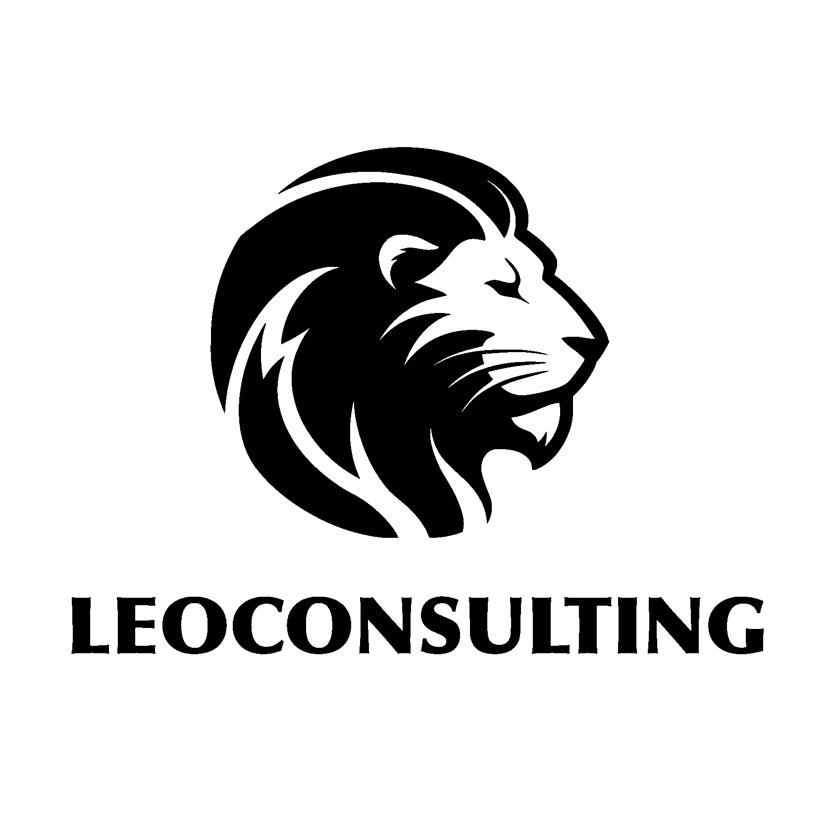 LeoConsulting