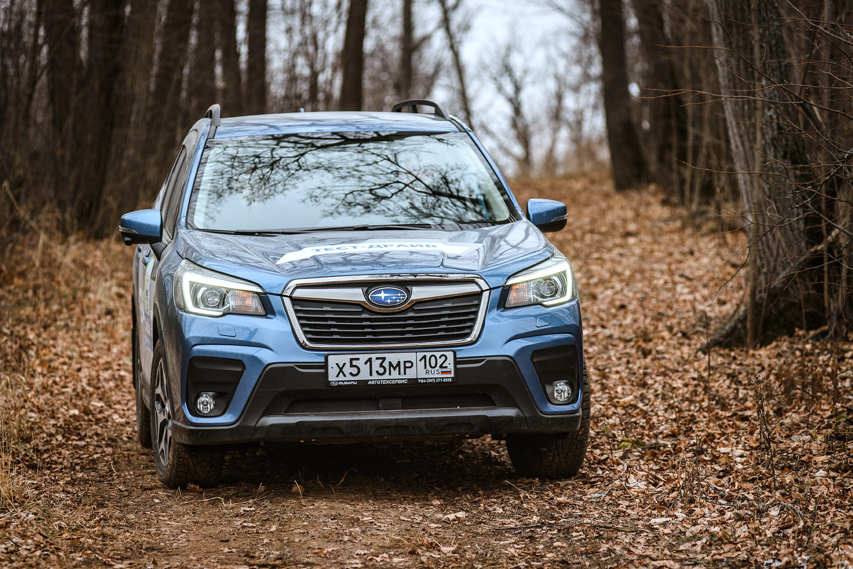 Субару 5 поколения. Subaru Forester 5 поколения. Субару Форестер 5 поколение VIN. Субару Форестер 5 поколения недостатки. Налог на Субару Форестер 5 поколения.