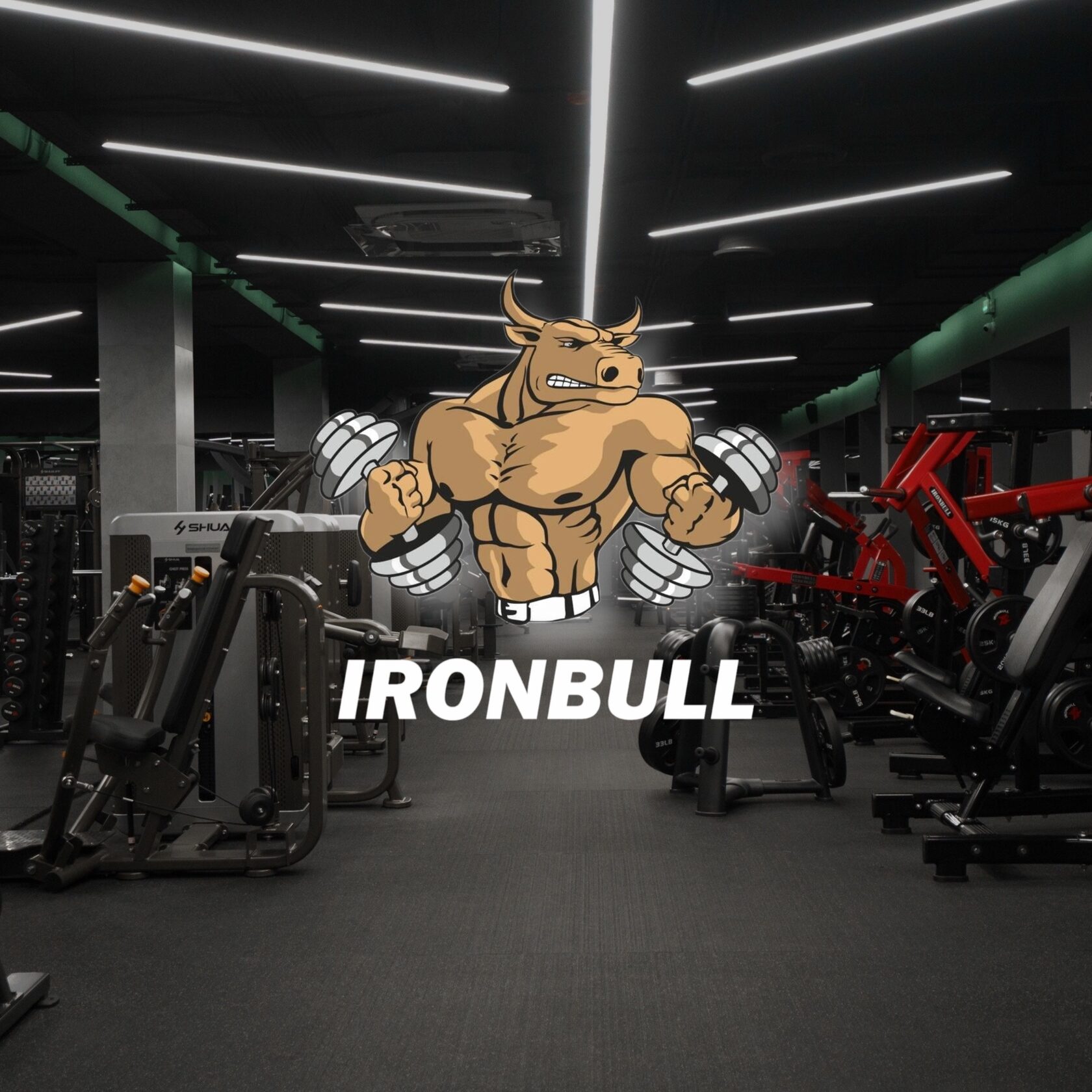 Ironbull фитнес