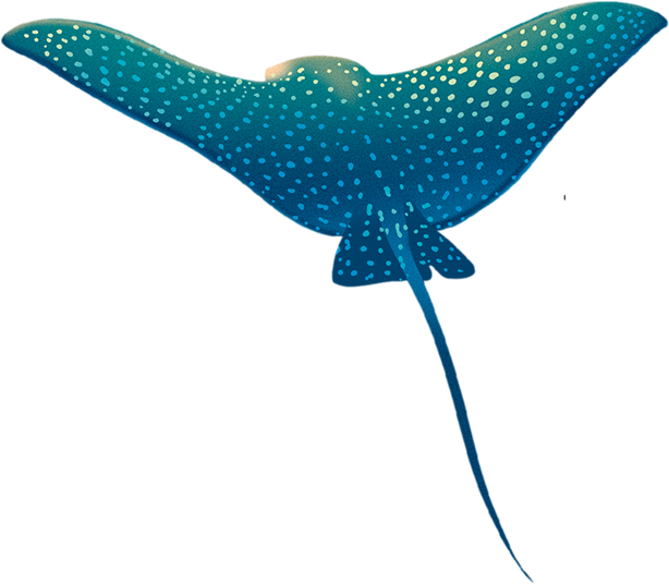 Креативные сайты на тильде