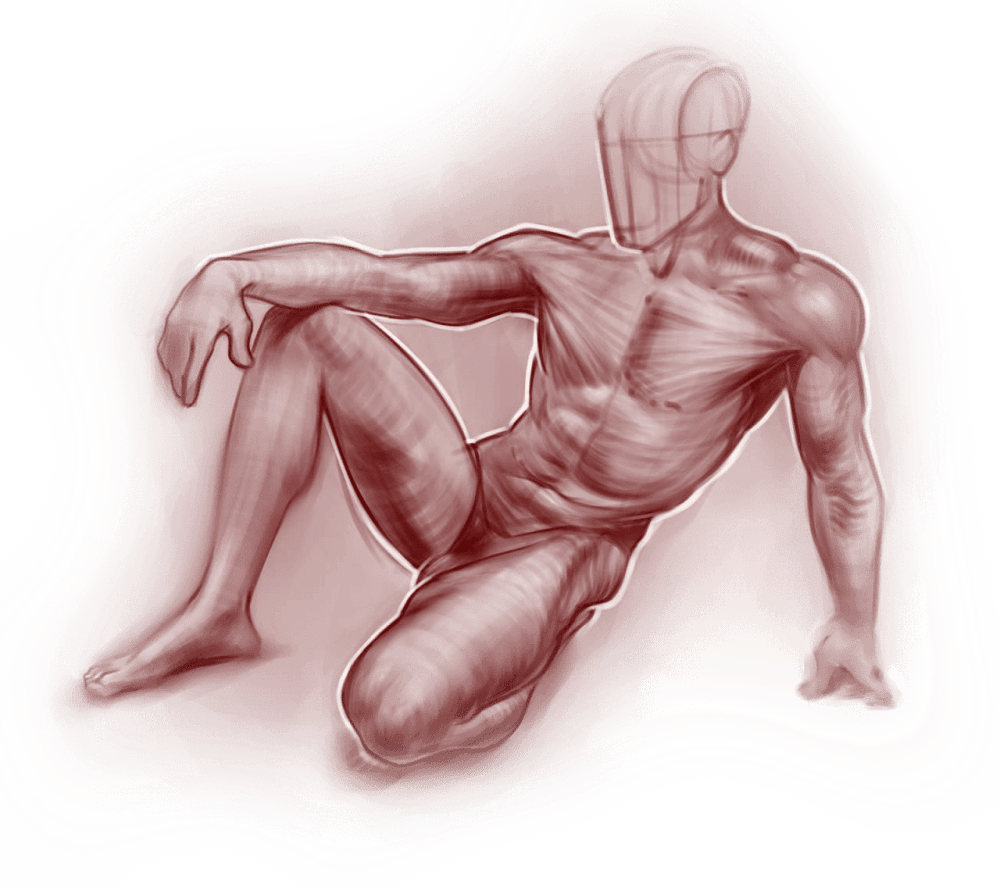 Рисунок express анатомия