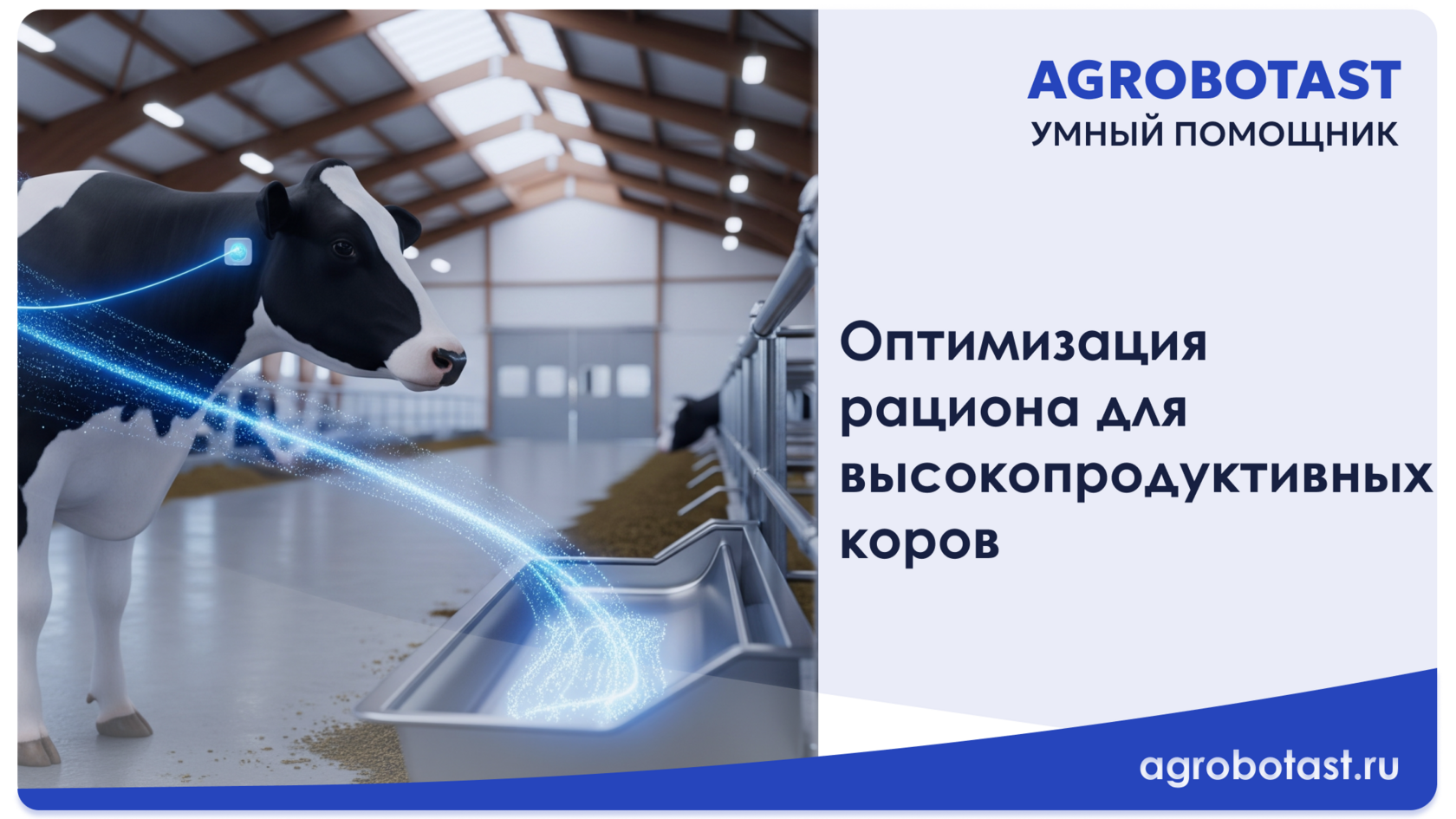 Оптимизация рациона для высокопродуктивных коров: Как избежать кетоза и ацидоза