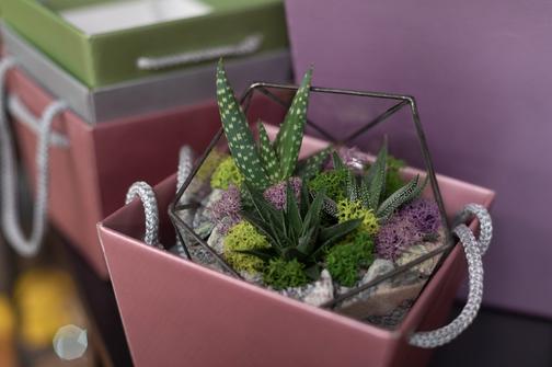 Доставка и оплата