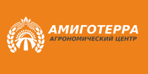 Amigo