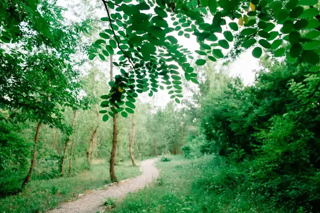 scale_1200 (4)