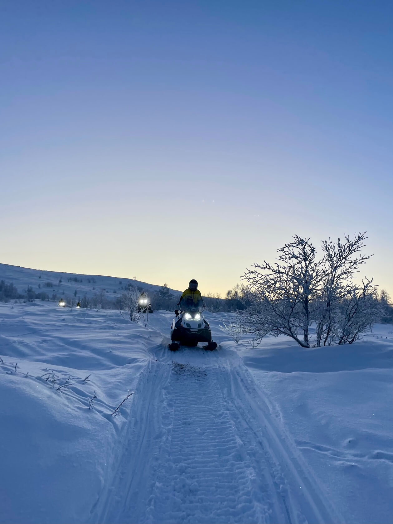 снегоходы мурманск