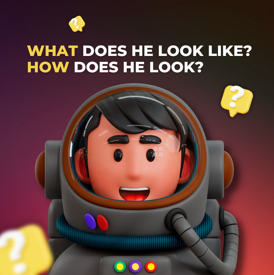WHAT does he look like? HOW does he like? В чем разница?