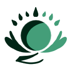 Производство оптических деталей, нанесение покрытий, поставки стекла