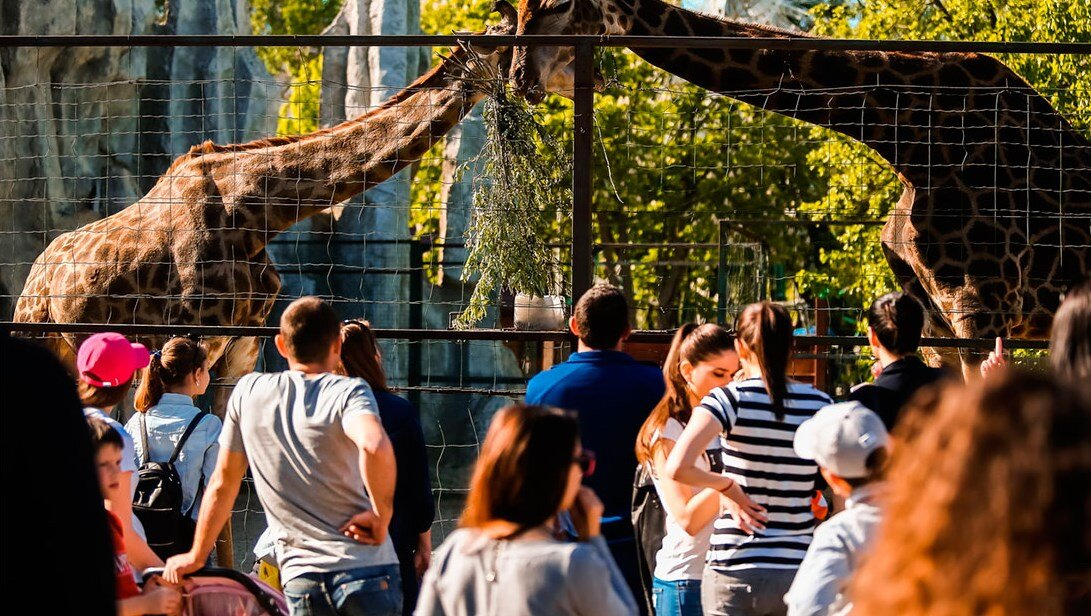 Ищете, куда сходить в Краснодаре на выходных и где интересно провести время?-5