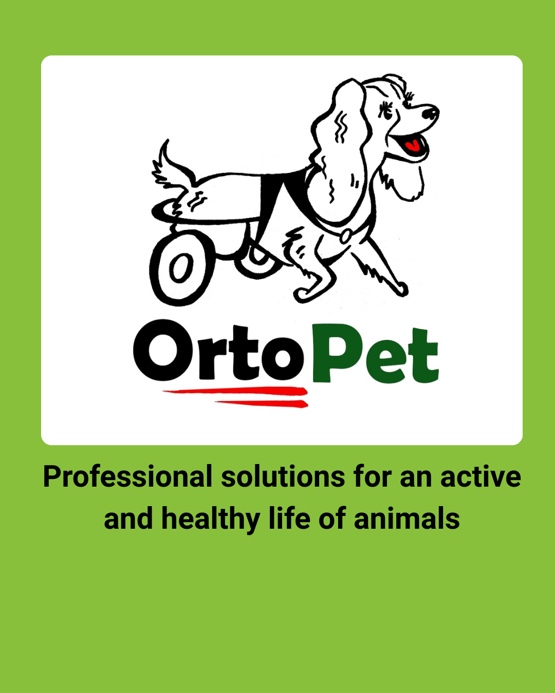 Orthopedic products, vitamins and accessories for pets from OrtoPet — discount with Anilogistic coupon