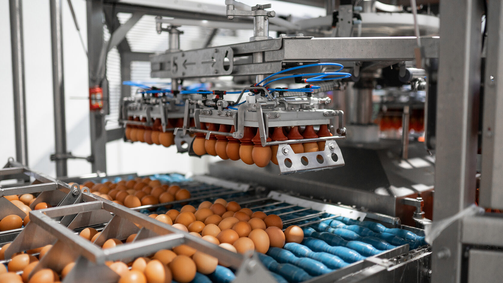 Предприятия фуд. Сырье для пищевой промышленности. Пищевое сырье. Производство яиц. Предприятие по переработке яичной продукции.
