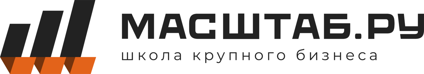 Логотип онлайн-школы МАСШТАБ.РУ Светланы Шайдуллиной