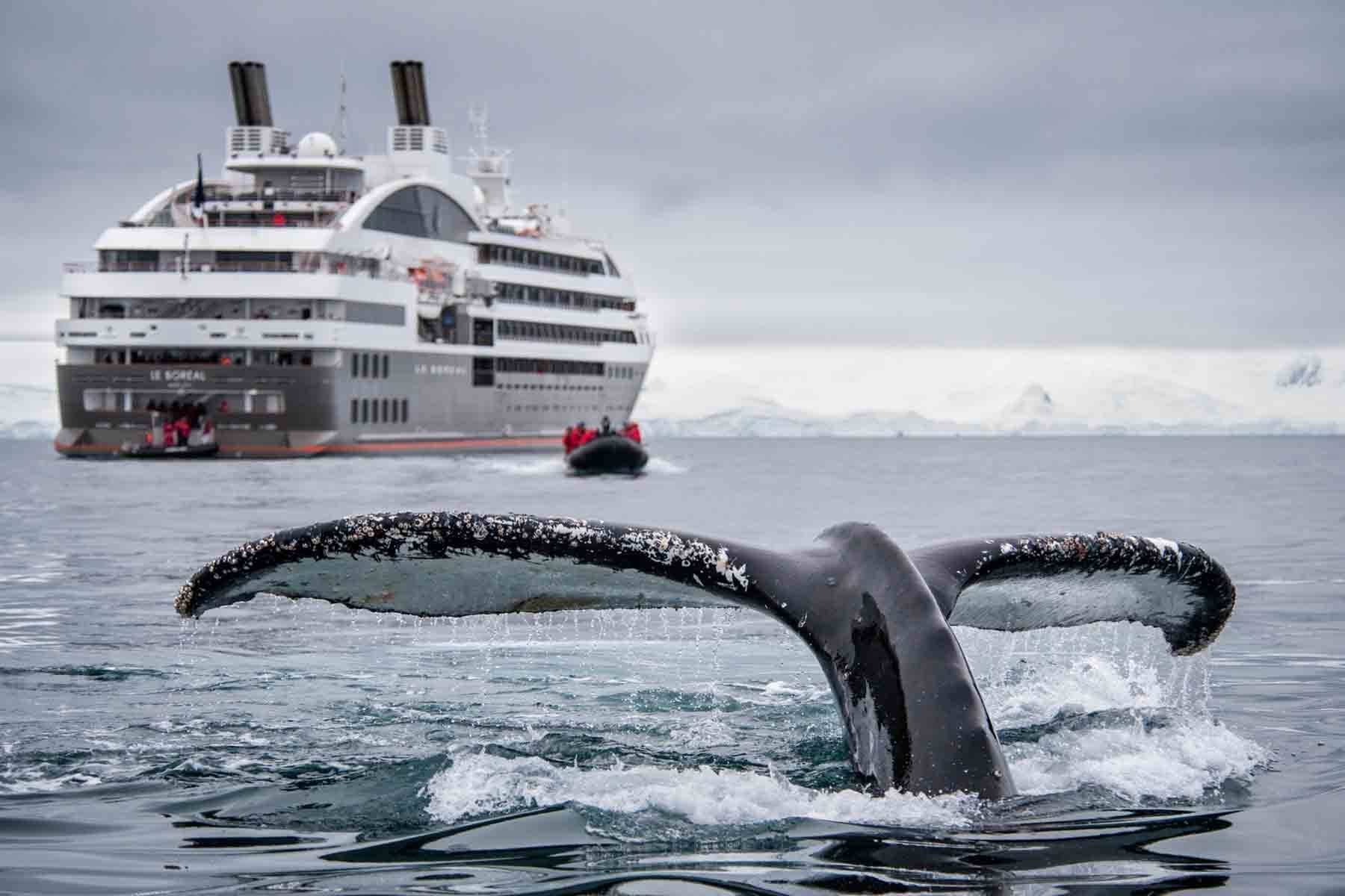 Le Boreal круизное судно