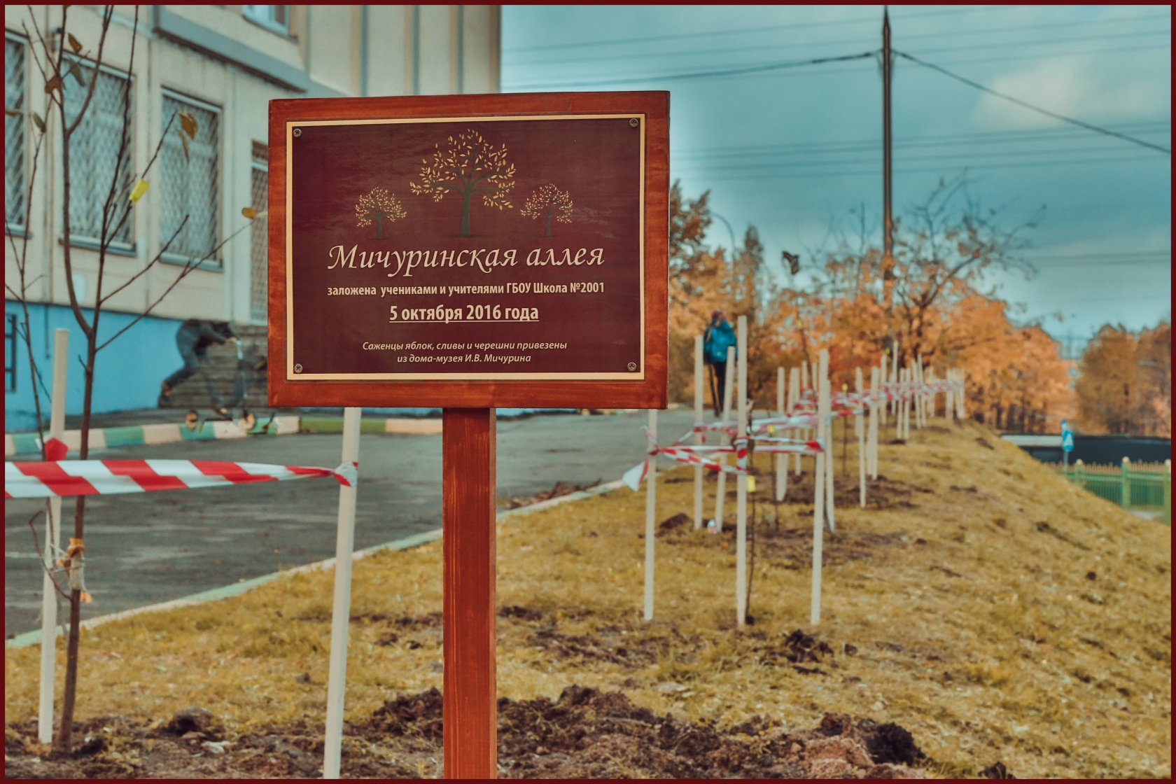 Сайт аллеи красноярска. План застройки Мичуринские аллеи Красноярск. Мичуринские аллеи. Аллея Мичурина. Мичуринский парк школа.