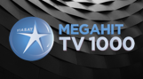 Канал мегахит. Tv1000 MEGAHIT. ТВ 1000 Мегахит.