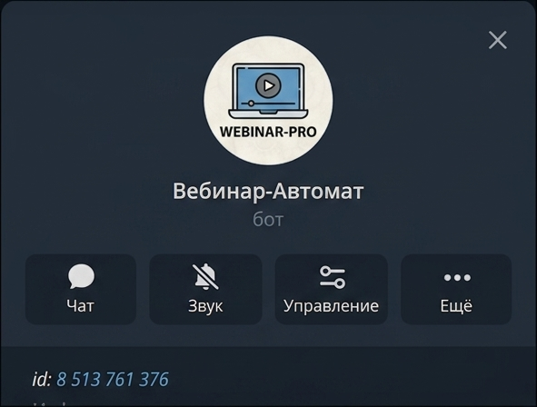 Главный экран SalesBot