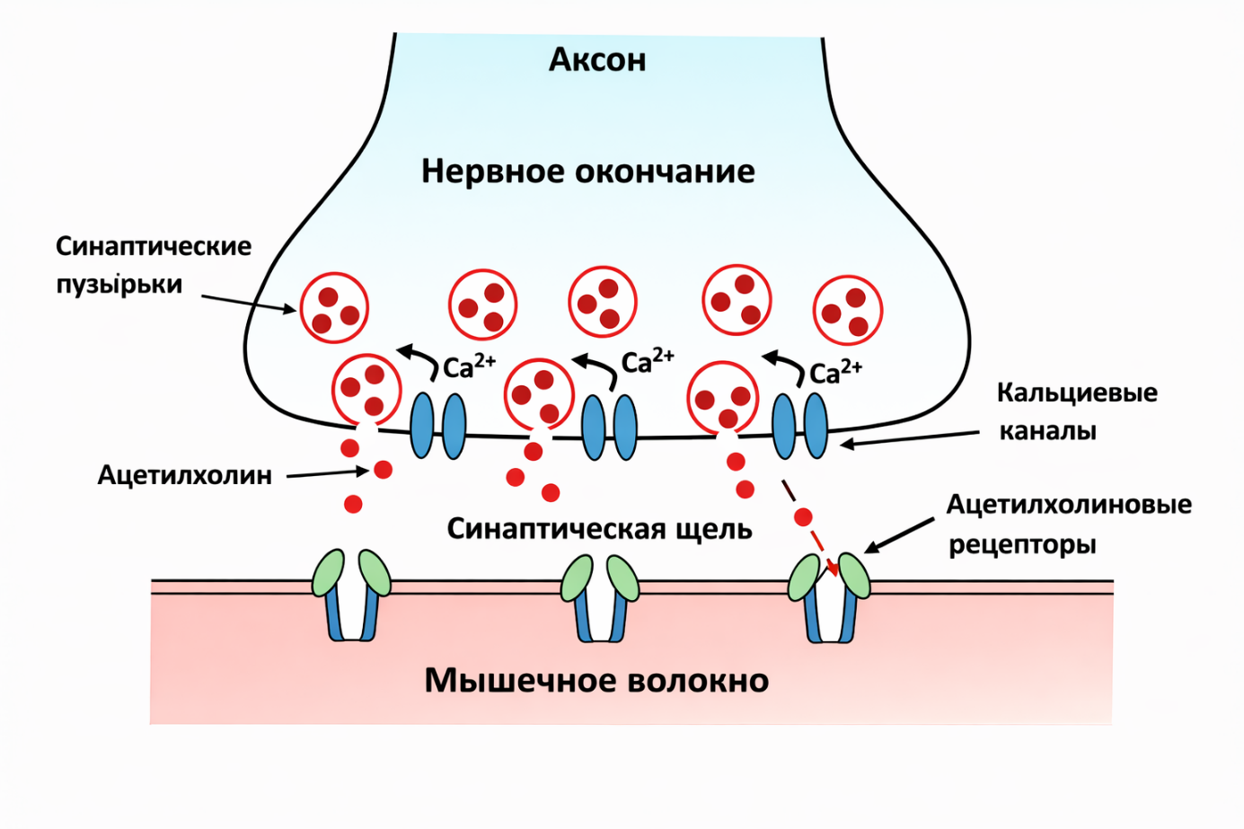 Ein Bild, das Text, Diagramm, Screenshot enthält.
KI-generierte Inhalte können fehlerhaft sein.