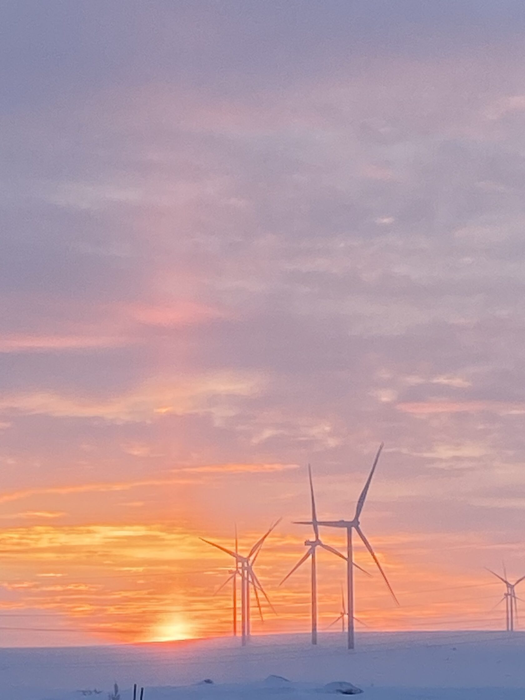 Туры в Мурманск на китов