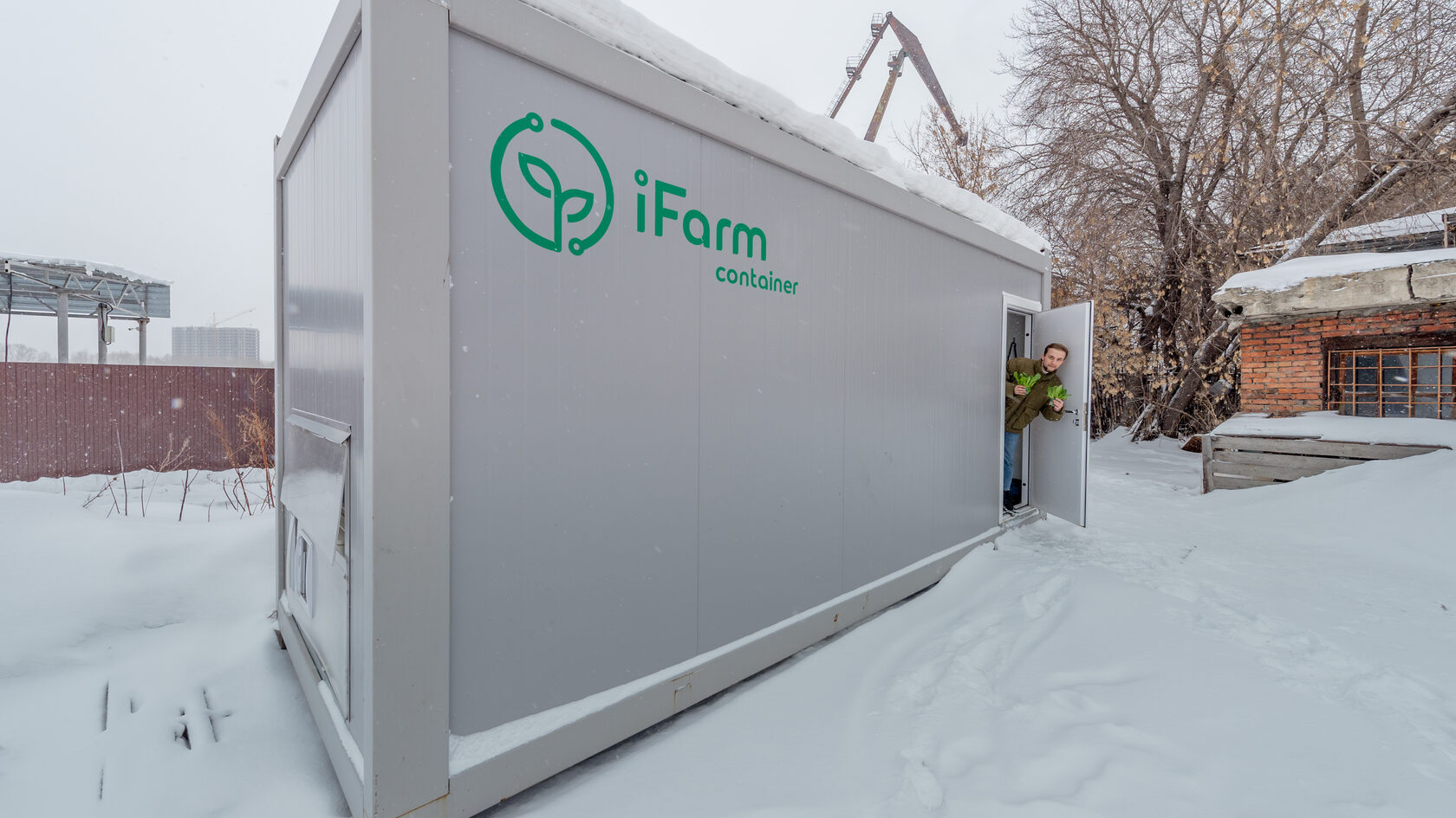 Автономная вертикальная ферма в контейнере для выращивания зелени iFarm  Container Greens