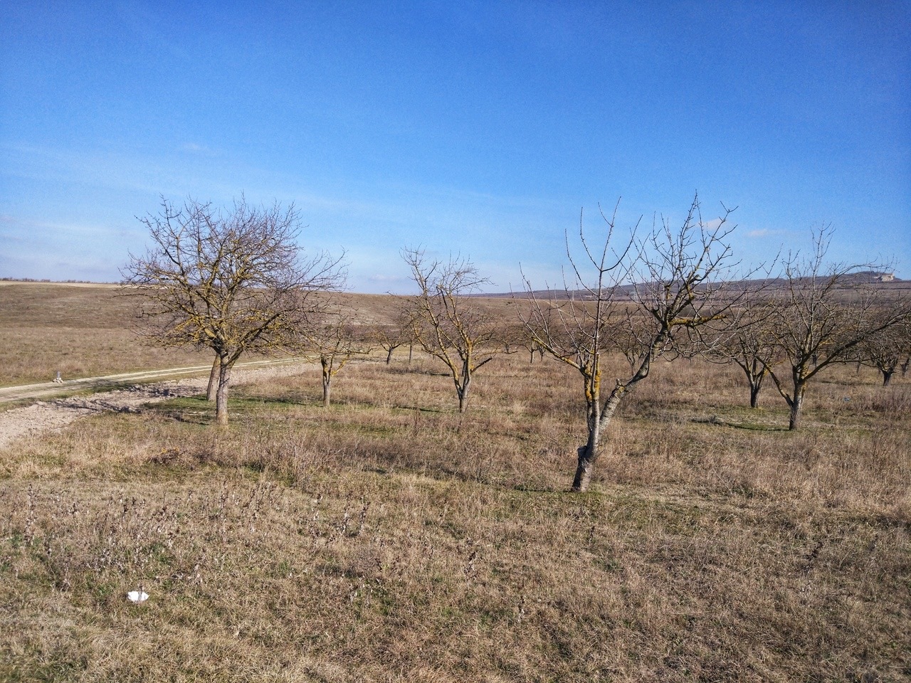 Крым пай. Глубокий Яр Бахчисарайский район съемка с путника. Фото танковое Бахчисарайского района летом пшеница. С.глубокий Яр фото. Купить земельный Пай в Чаплинском районе Херсонской области.