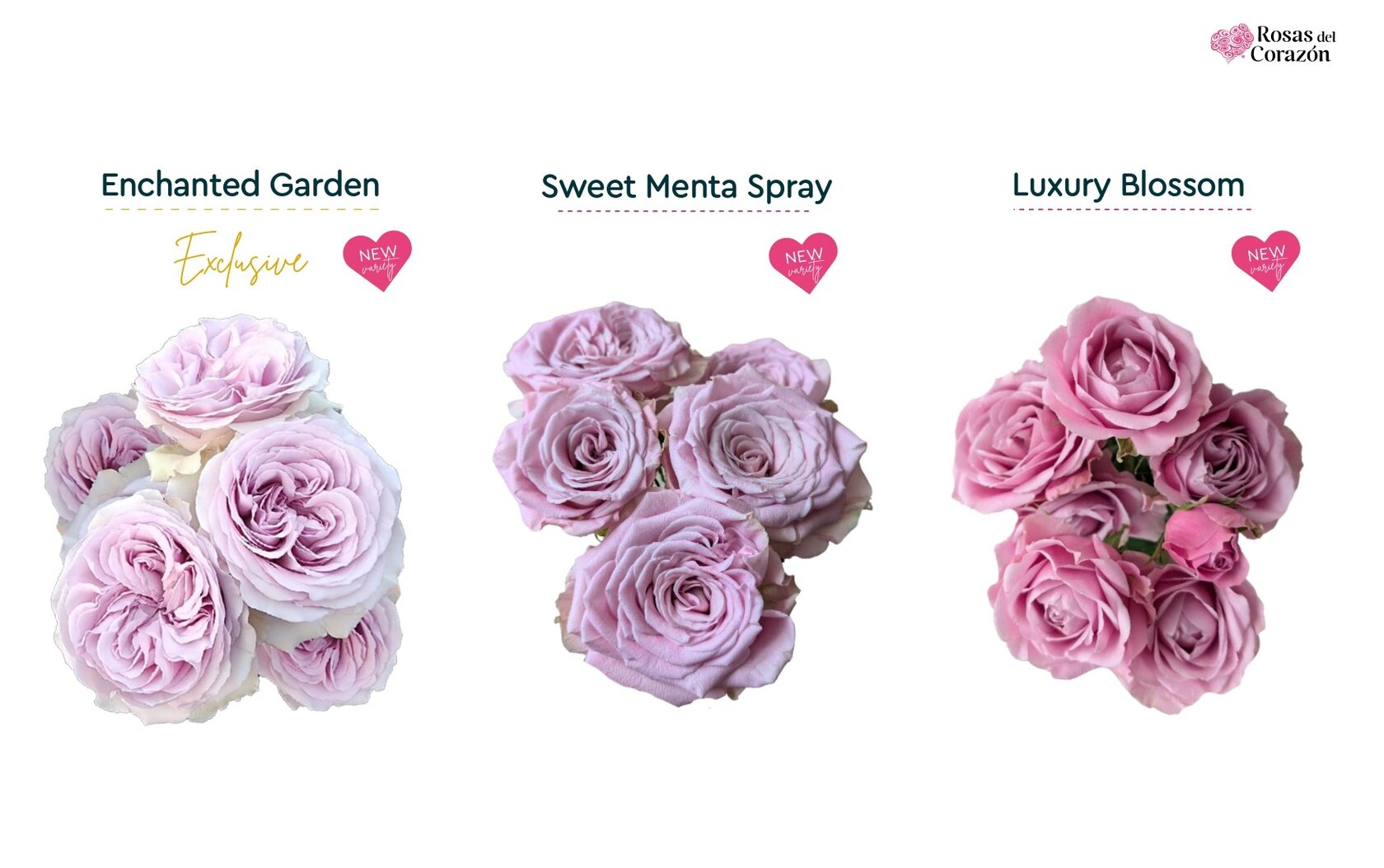 Enchanted Garden, Sweet Ment a Spray, Luxury Blossom