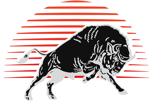 Лого Хоккейная экипировка SOYUZ bc