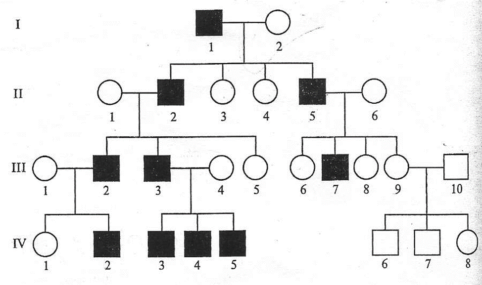 Родословные схемы по генетике примеры