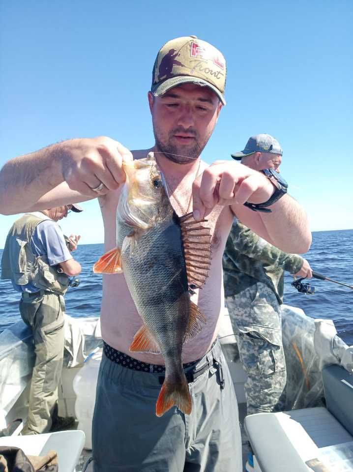 База 2019. Рыбинское водохранилище база Ситинка. Рыболовные базы на Рыбинском водохранилище. Рыбалка на Рыбинском водохранилище летом. Рыбалка на Рыбинке летом.