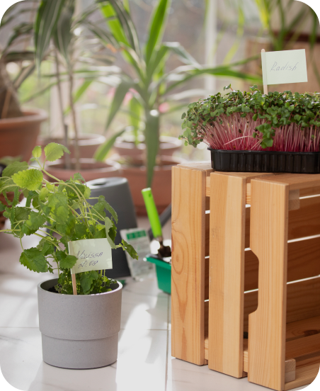 Грузоперевозки для физических лиц | ПрофЭкипаж