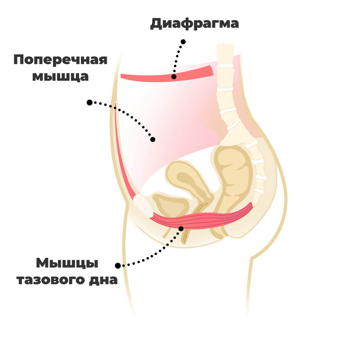 10 поз из йоги, которые улучшат качество вашего секса