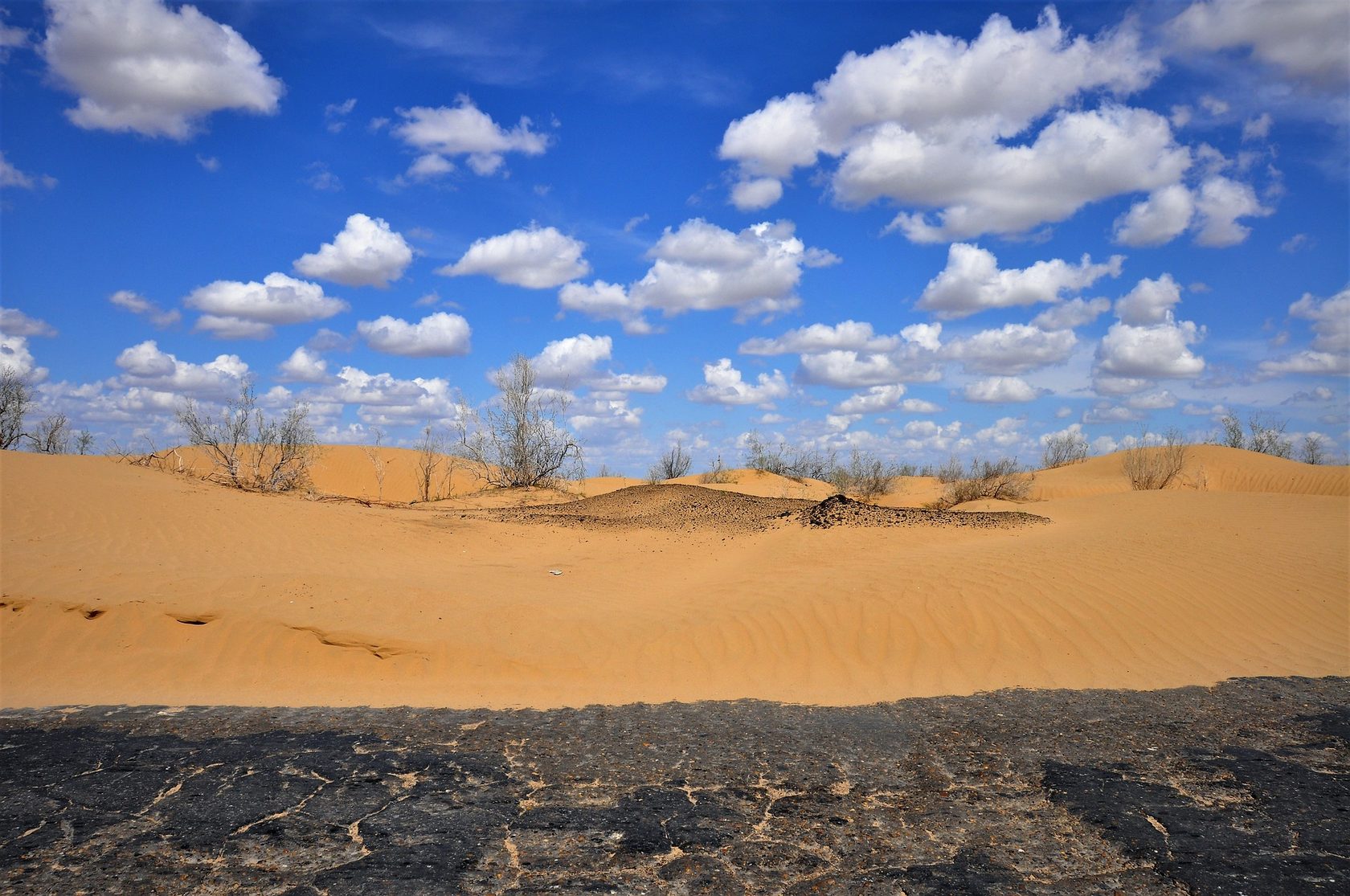 Пески пустыни Кызылкум