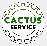 Проекционная реклама на тротуаре для сервиса по ремонту электроники Cactus Service, г. Харьков, ул. Пушкинская