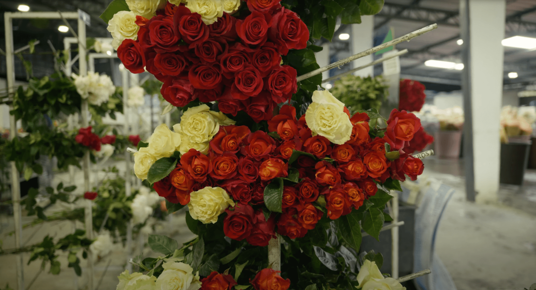 Как заказать цветы у компании GFG с доставкой в Россию