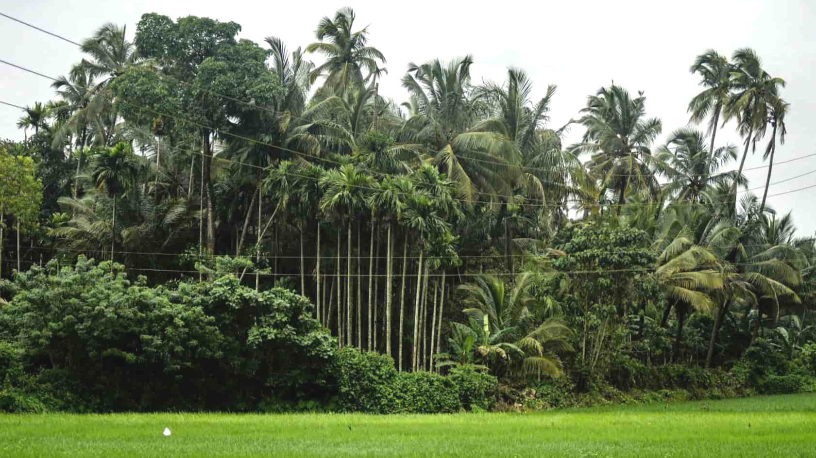 sentyabr-v-goa