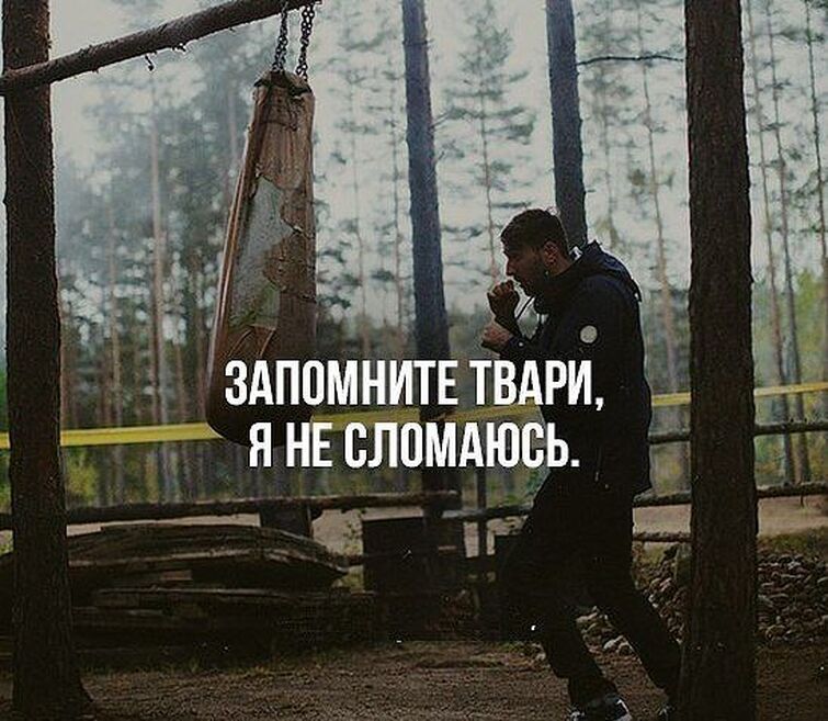 Picture background