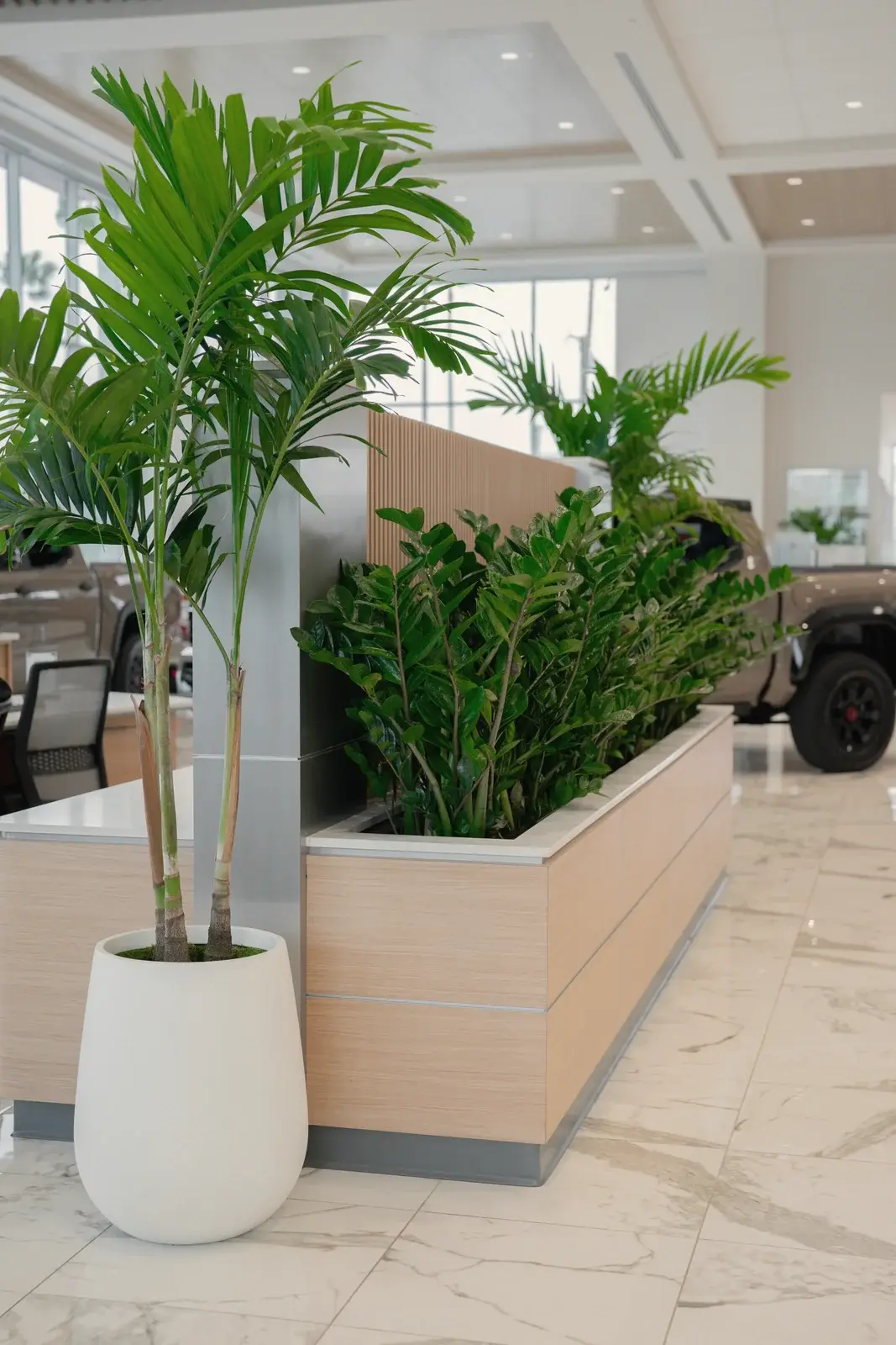 Palm and a planter box used as a soft divider, Toyota of West Covina