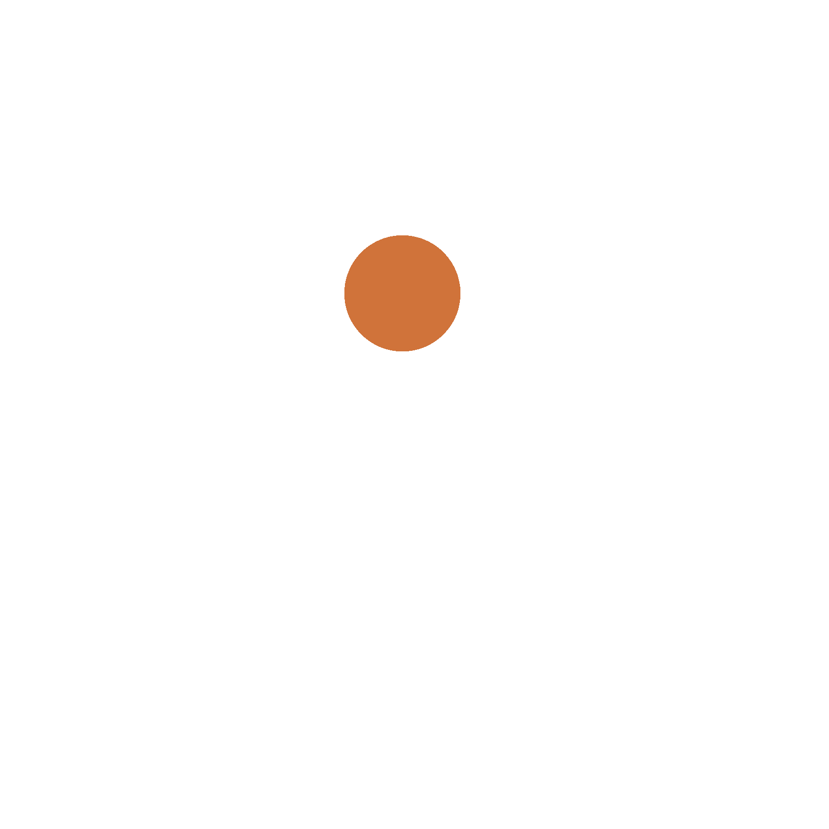 Company name