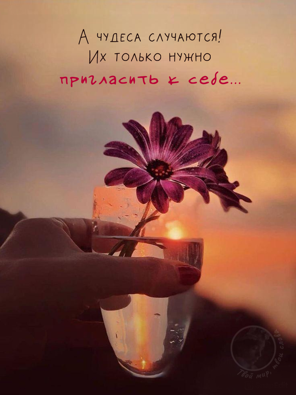Картинки с добрыми цитатами: фиолетовый цветок в стакане на фоне заката с вдохновляющей надписью 