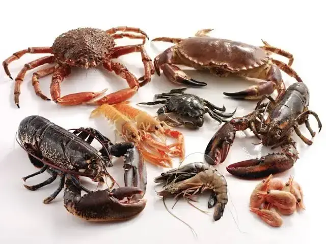 crustaceans