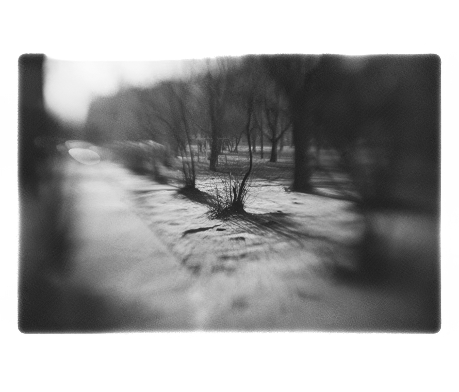 Сергей Жданович, проект «INCERTUM».