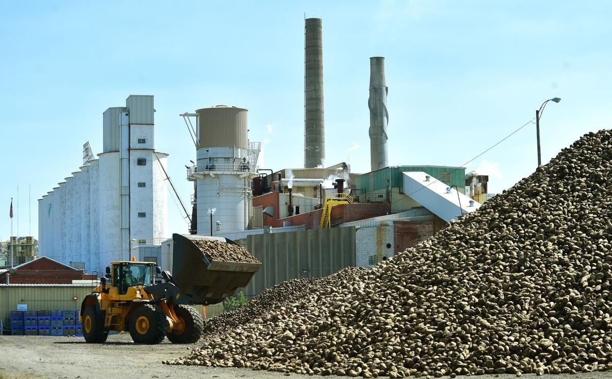  Изобильненский сахарный завод