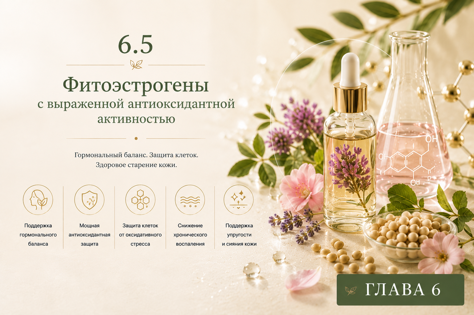 Фитоэстрогены с выраженной антиоксидантной активностью для поддержки кожи при возрастных и гормональных изменениях