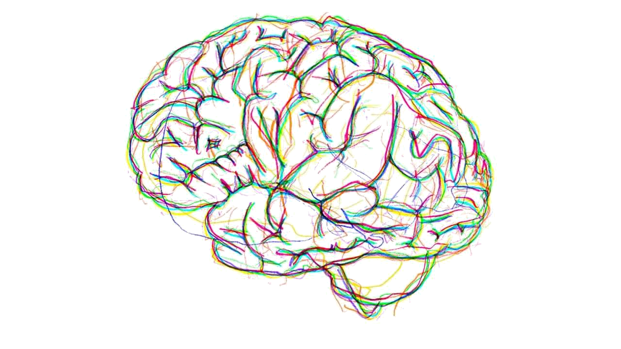 Извилины брюс. Мозг арт. Мозг рисунок. Мозг нарисованный.