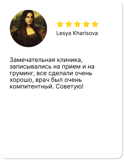 Слайд 10