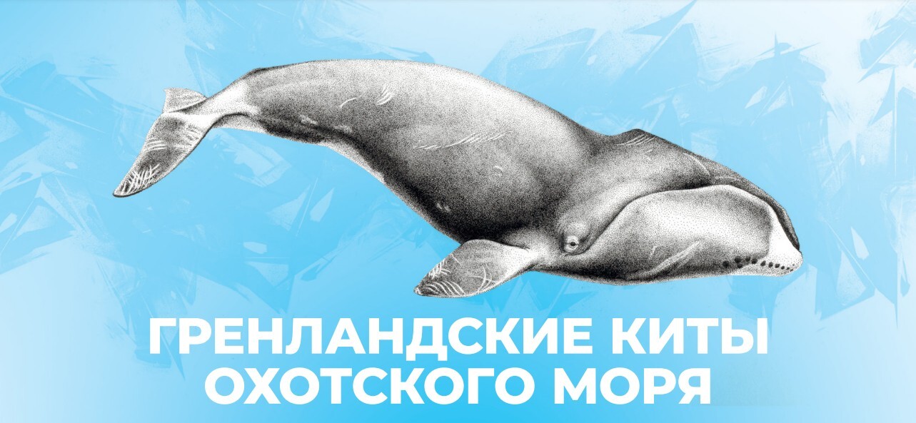 каталог 2022-2025г