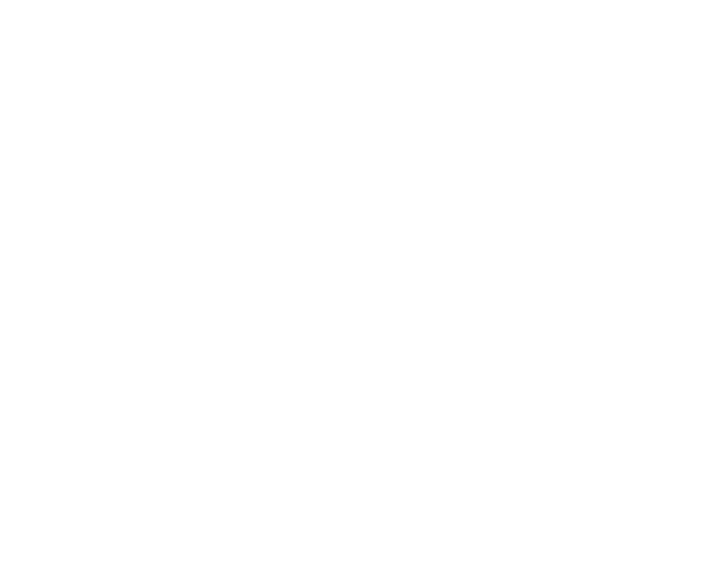  PROinvoice 