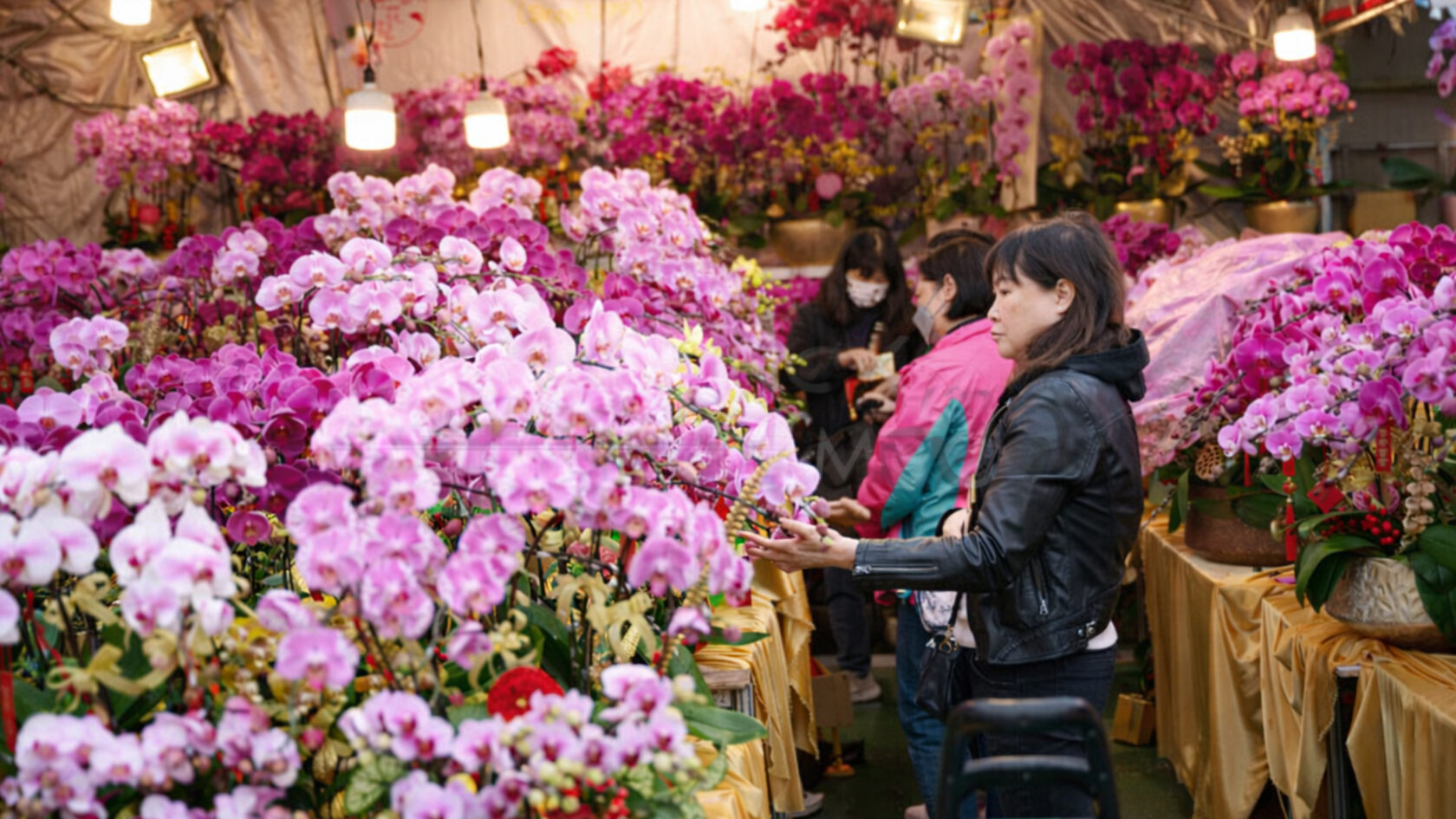 Новый год в Гонконге. Цветочный рынок в Гонконге. Китай