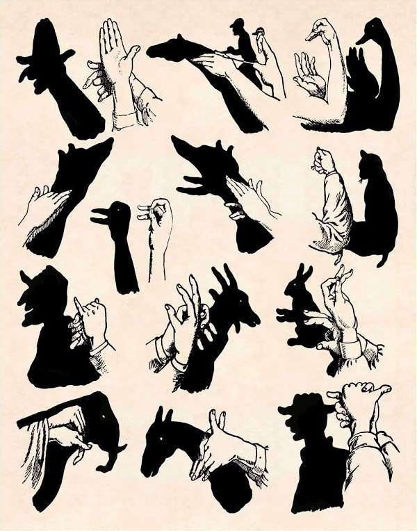 Тени из пальцев - как сделать фигуры животных из теней пальцев на стене